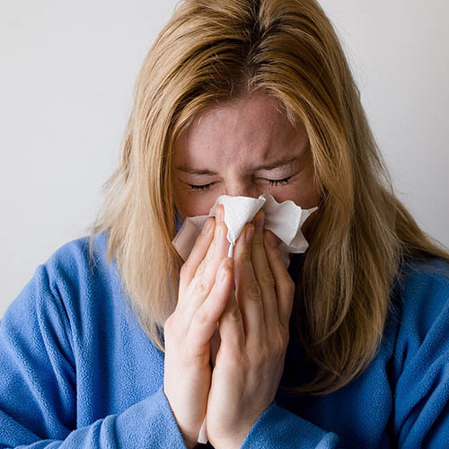 Vue interieure de la Pharmacie Rose